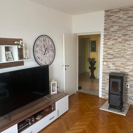 Tedi Apartment Rijeka Bagian luar foto