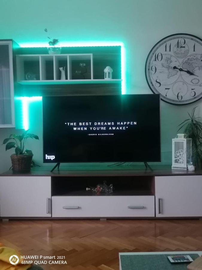 Tedi Apartment Rijeka Bagian luar foto