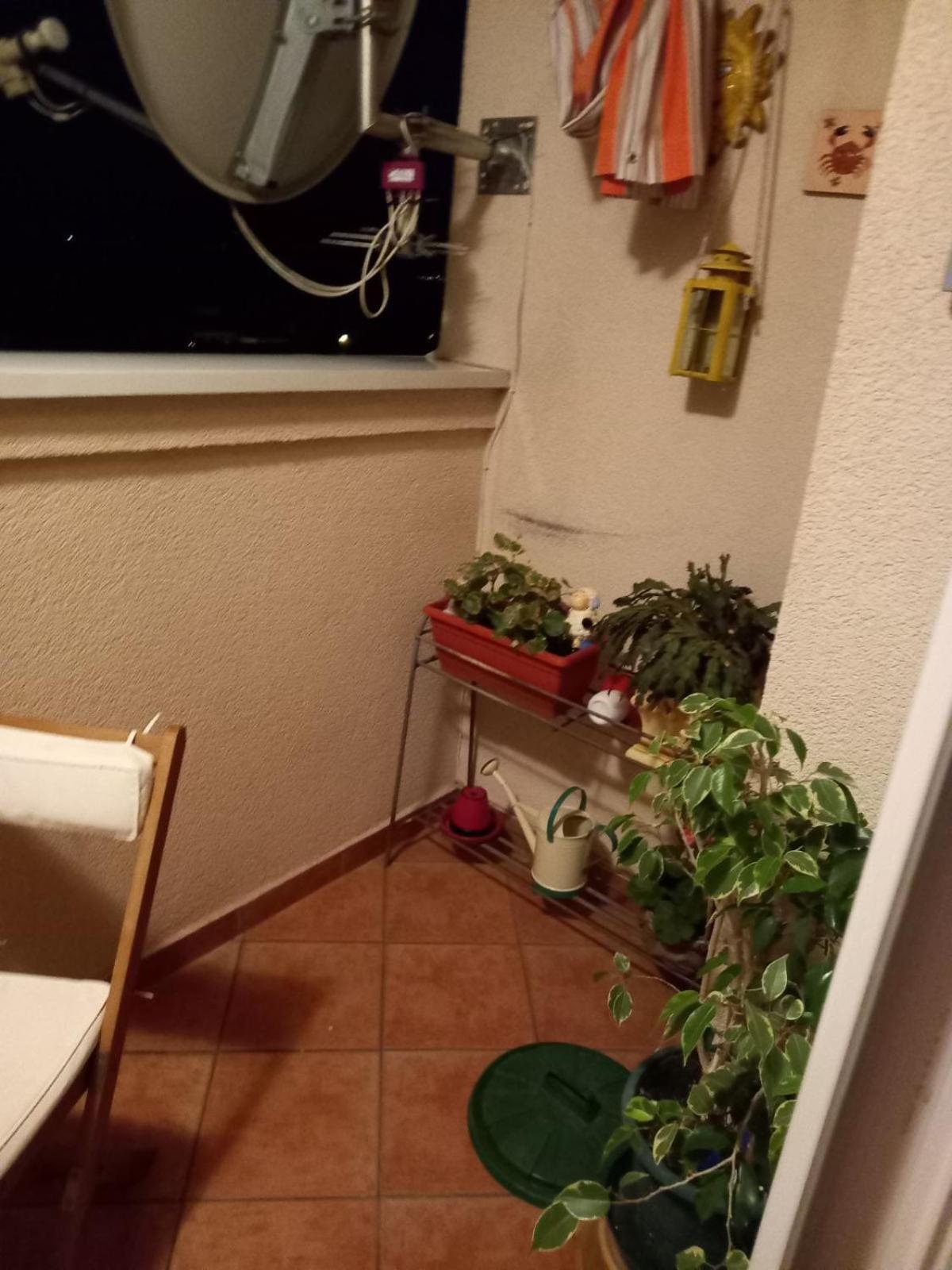 Tedi Apartment Rijeka Bagian luar foto